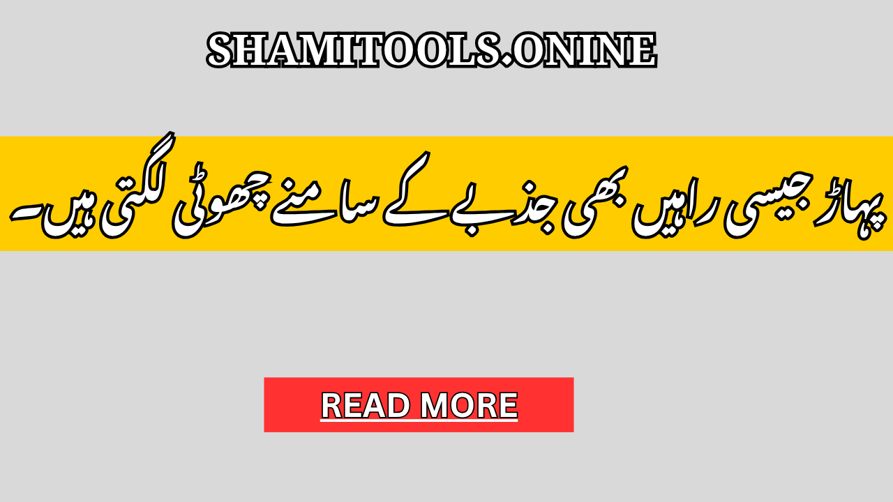 Hard Work Quotes in Urdu