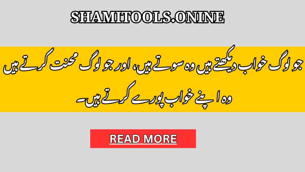 Hard Work Quotes in Urdu